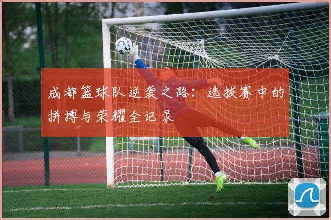 成都篮球队逆袭之路：选拔赛中的拼搏与荣耀全记录