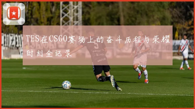 TES在CSGO赛场上的奋斗历程与荣耀时刻全记录